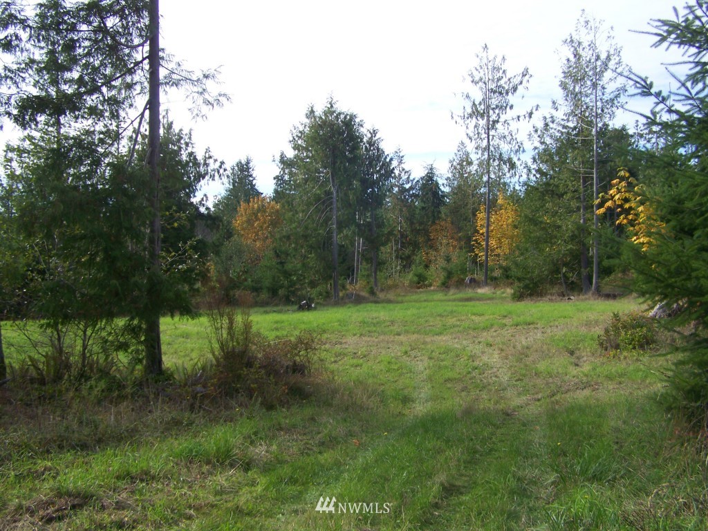 4 Todd Road Port Ludlow, WA 98365 - Photo 1 of 4 Gallery Image 1
