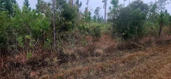 $40,000 | 619 Calendula Drive, Indian Lake Estates, FL 33843