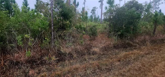 $40,000 | 619 Calendula Drive, Indian Lake Estates, FL 33843