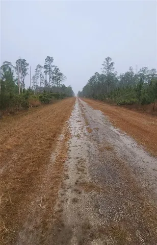 $40,000 | 619 Calendula Drive, Indian Lake Estates, FL 33843