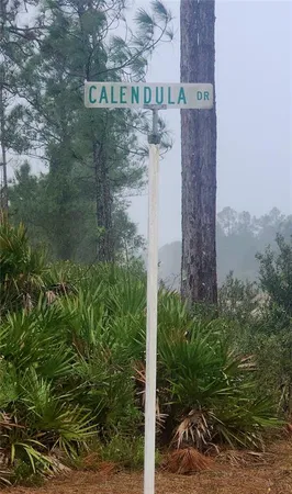 $40,000 | 619 Calendula Drive, Indian Lake Estates, FL 33843