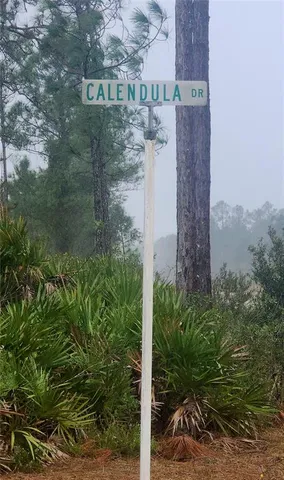 $40,000 | 619 Calendula Drive, Indian Lake Estates, FL 33843