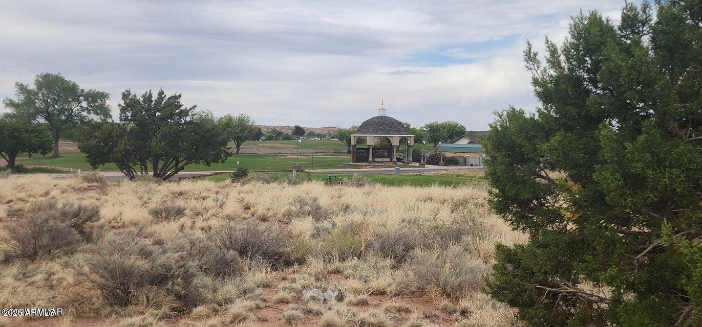 a view of a lake with houses in the back