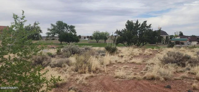 a view of a covered with trees in the background