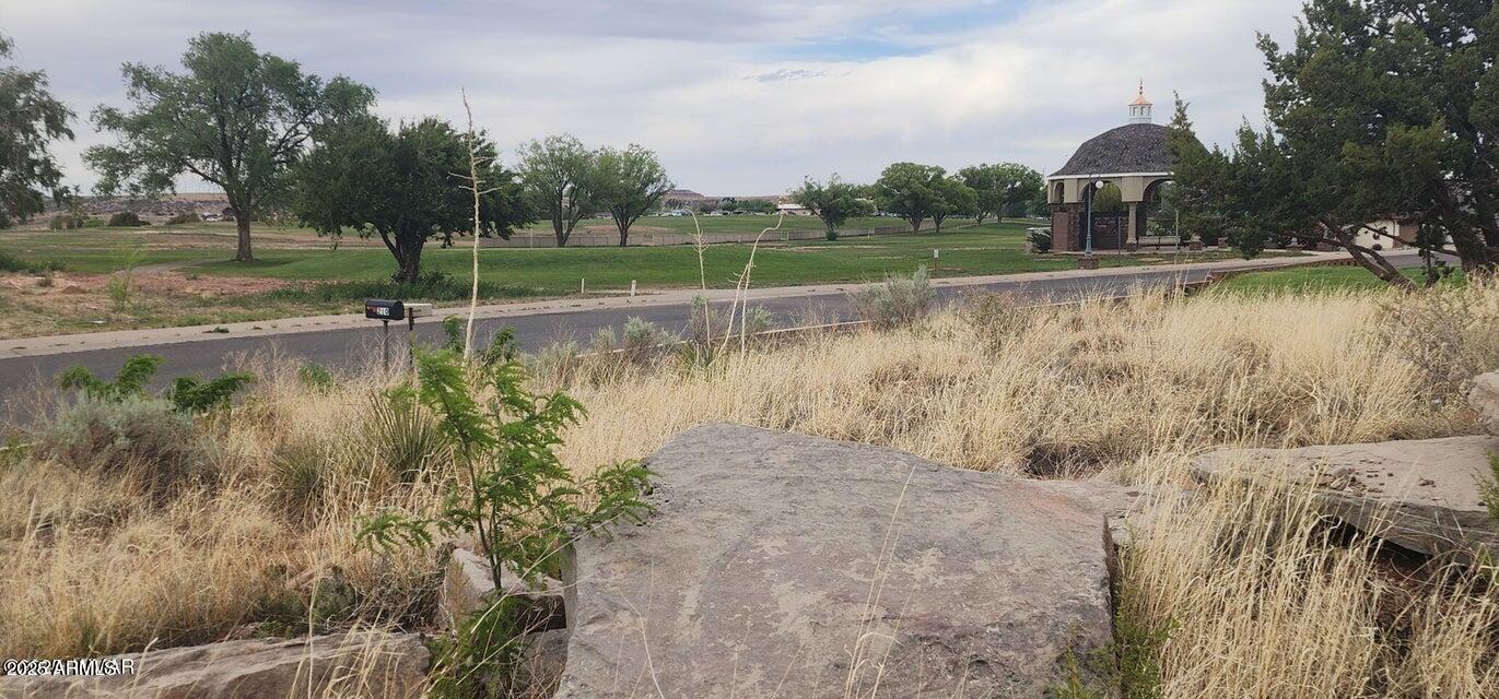 2642 West Foothill Circle, Unit 13 Snowflake, AZ 85937 - Photo 4 of 19 a view of a lake with a yard and large trees