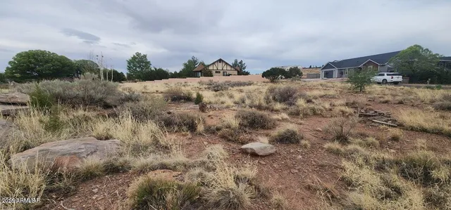 a view of a dry yard with lots of trees