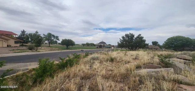 a view of a lake from a yard