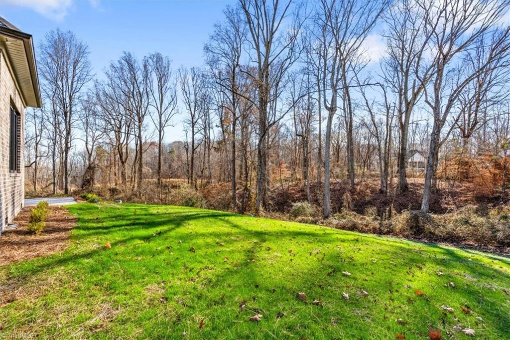 6391 Whitaker Trace Oak Ridge, NC 27310 - Photo 48 of 49