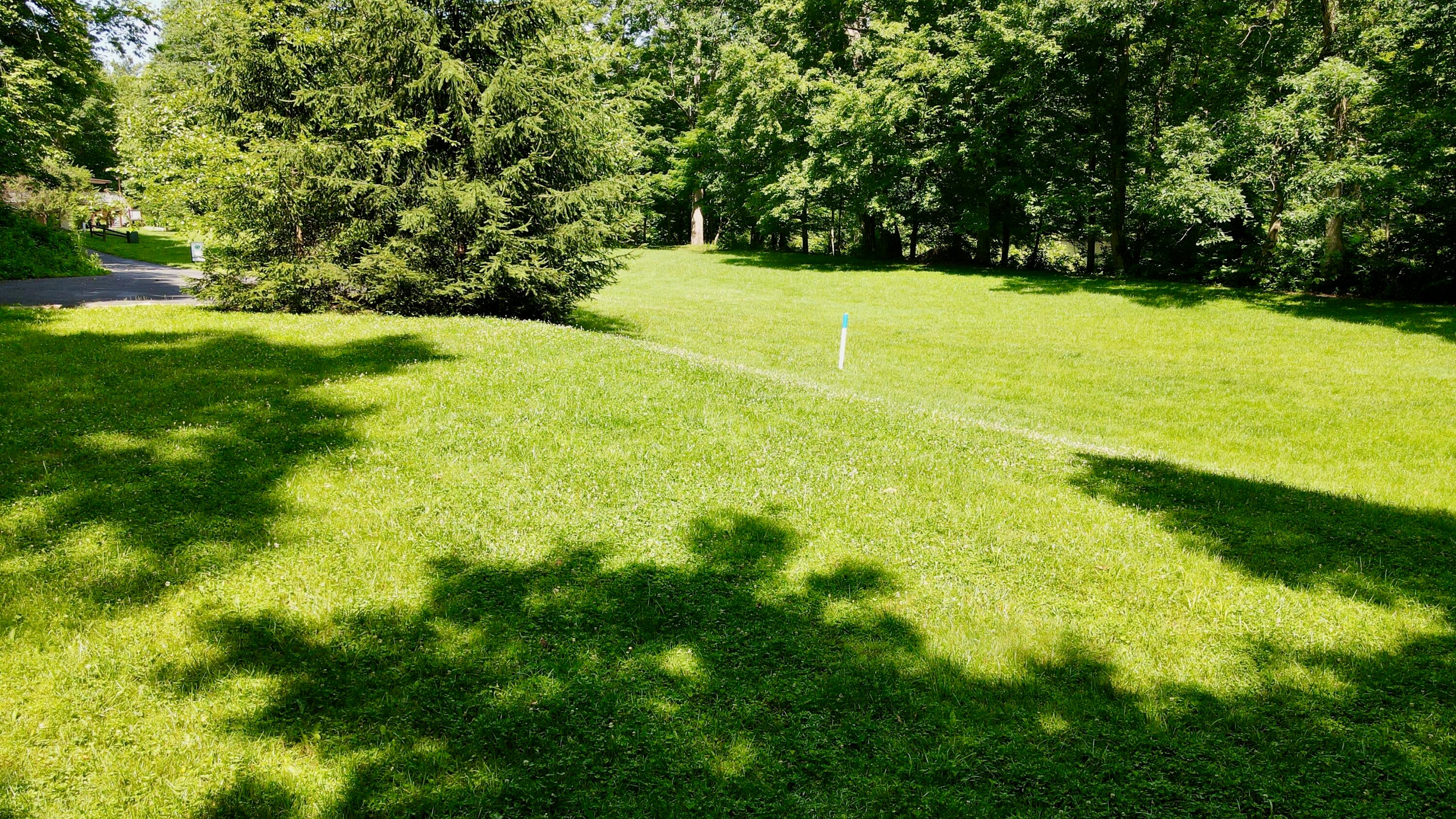 557 Fox Run Road Caldwell, WV 24925 - Photo 9 of 20 Gallery Image 9