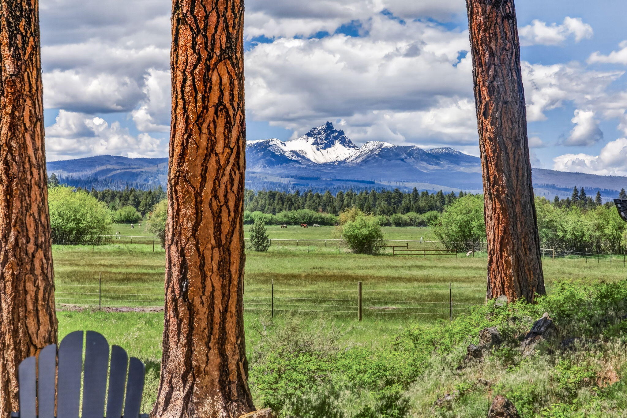 13729 Mentha, Unit EM 32 Black Butte Ranch, OR 97759 - Photo 54 of 76