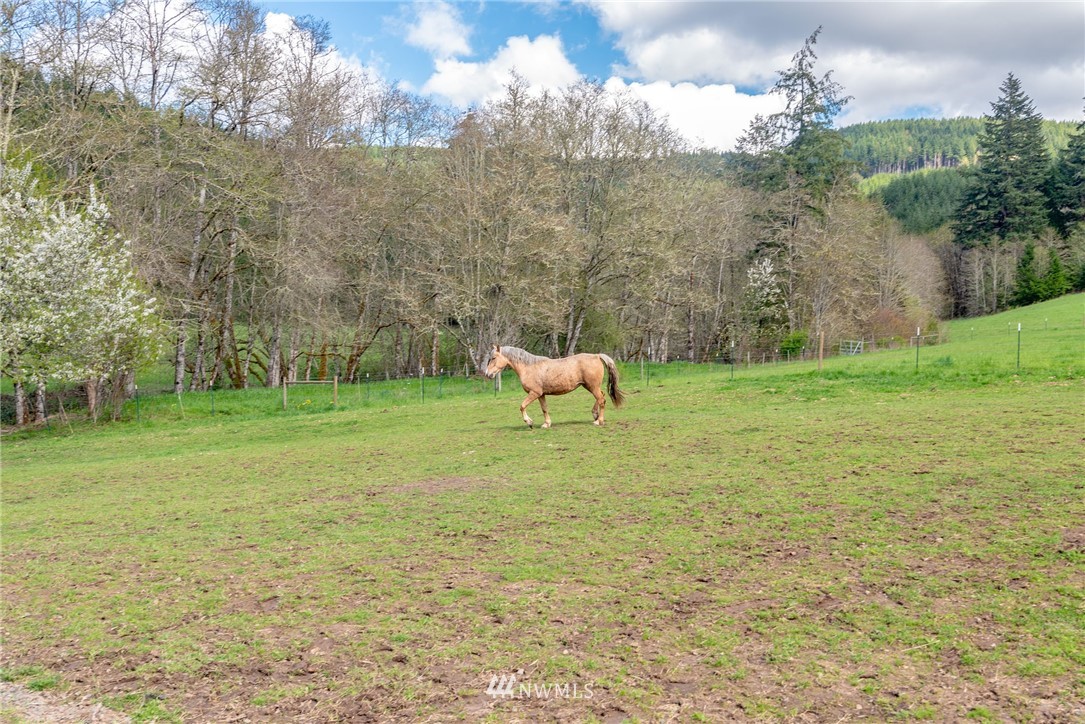 2880 King Road Chehalis, WA 98532 - Photo 25 of 25
