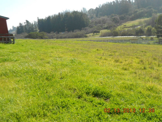 662 Larkin Valley Road Watsonville, CA 95076 - Photo 11 of 12 Gallery Image 11