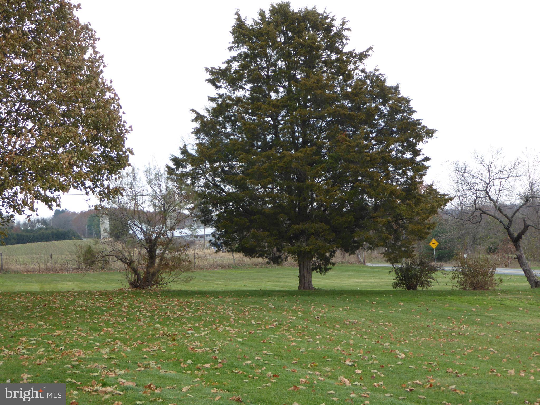 599 Greenspring Road Newville, PA 17241 - Photo 43 of 45