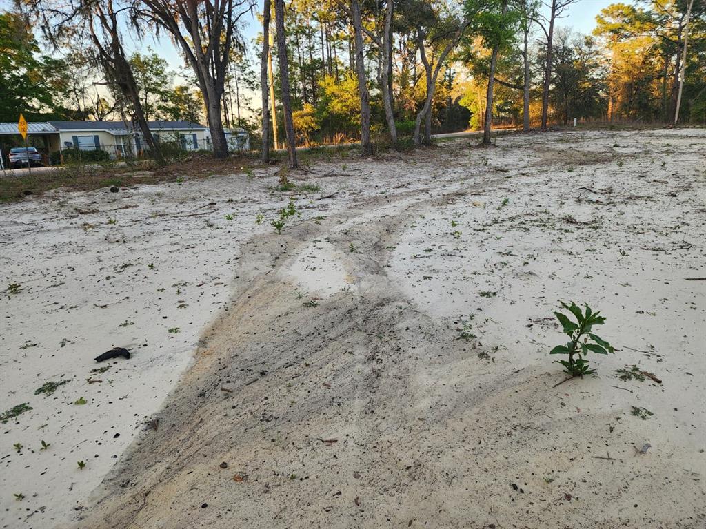 Southwest 110th Court Dunnellon, FL 34432 - Photo 8 of 9