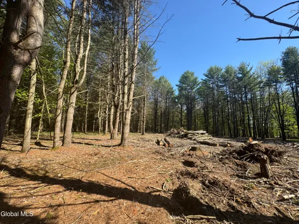 $129,000 | L33.05 Glimmerglen Road, Cooperstown, NY 13326