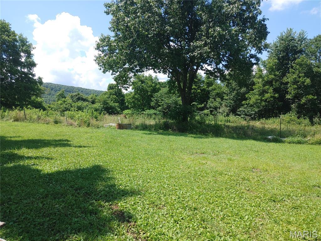 209 County Road 101 Ironton, MO 63650 - Photo 10 of 29