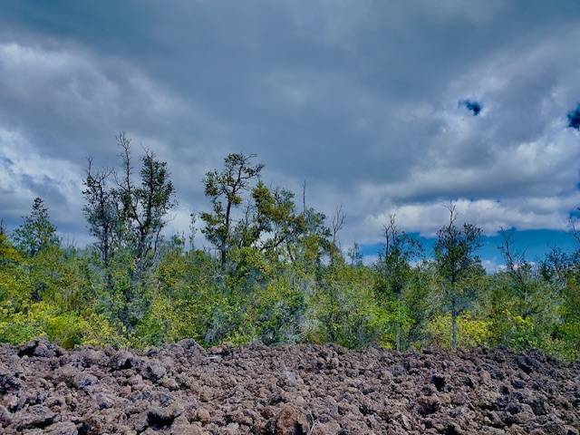 92-1080 Rd To The Sea Ocean View, HI 96704 - Photo 11 of 28 a view of a garden with pathway