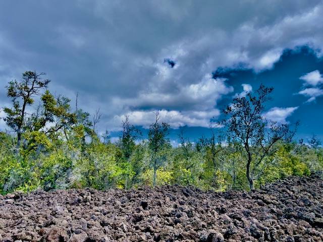 92-1080 Rd To The Sea Ocean View, HI 96704 - Photo 12 of 28 a view of a garden with a house