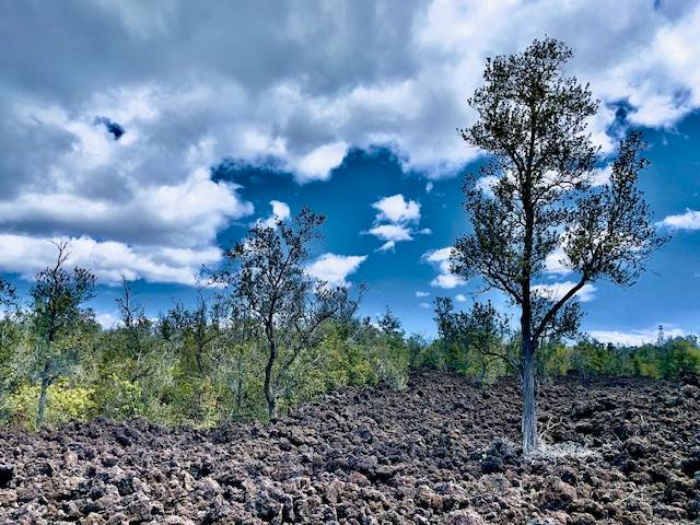 92-1080 Rd To The Sea Ocean View, HI 96704 - Photo 13 of 28 a view of a city with lots of trees
