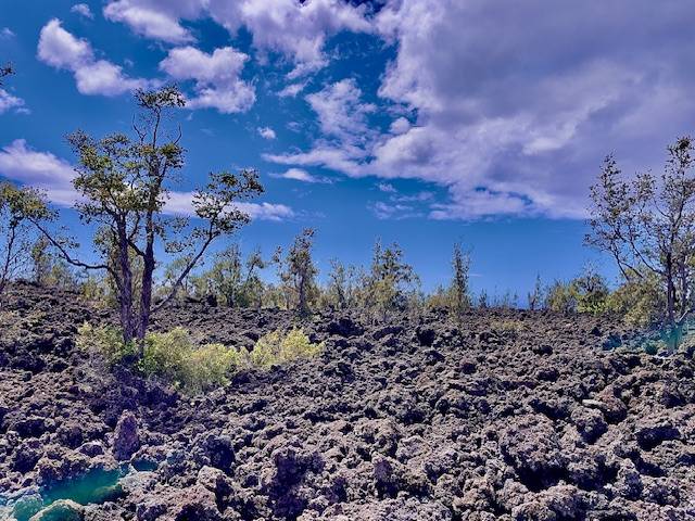 92-1080 Rd To The Sea Ocean View, HI 96704 - Photo 15 of 28 a view of a yard with a house