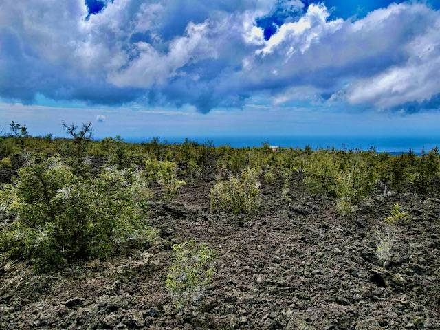 92-1080 Rd To The Sea Ocean View, HI 96704 - Photo 22 of 28 a view of a bunch of trees and houses