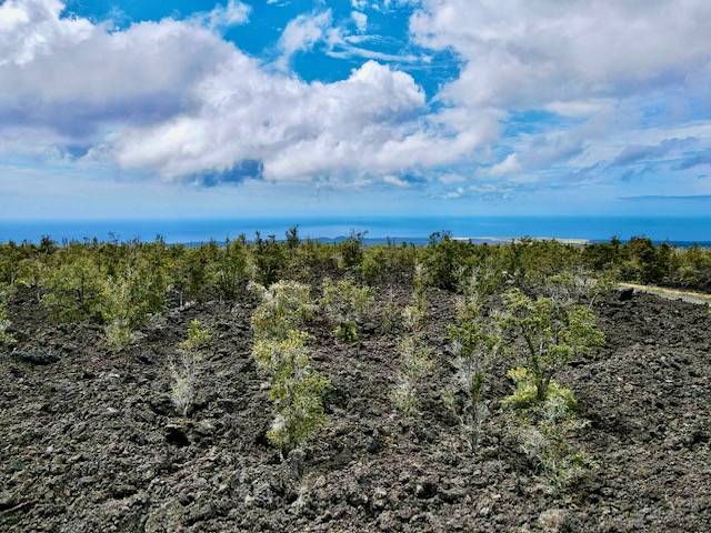 92-1080 Rd To The Sea Ocean View, HI 96704 - Photo 23 of 28 a view of a large building with lots of trees