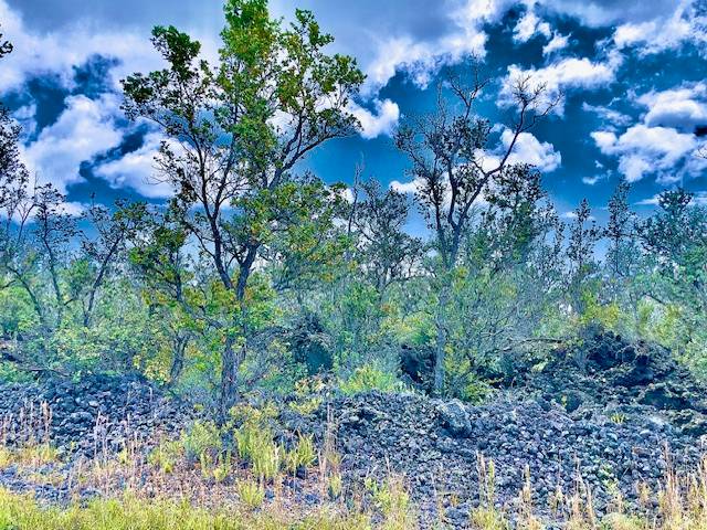 92-1080 Rd To The Sea Ocean View, HI 96704 - Photo 5 of 28 a view of a yard