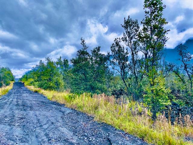 92-1080 Rd To The Sea Ocean View, HI 96704 - Photo 8 of 28 a view of a yard with plants and a bench