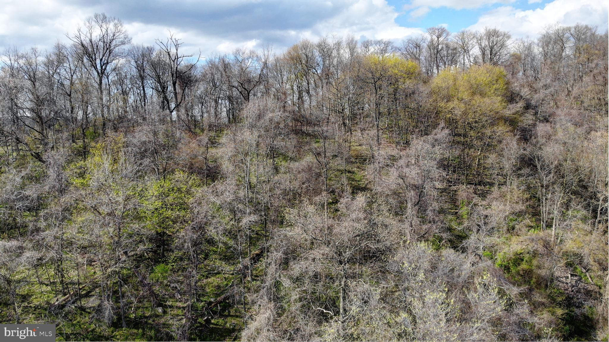 Lot 1 Mountain View Road Harrisburg, PA 17110 - Photo 14 of 17 Gallery Image 14