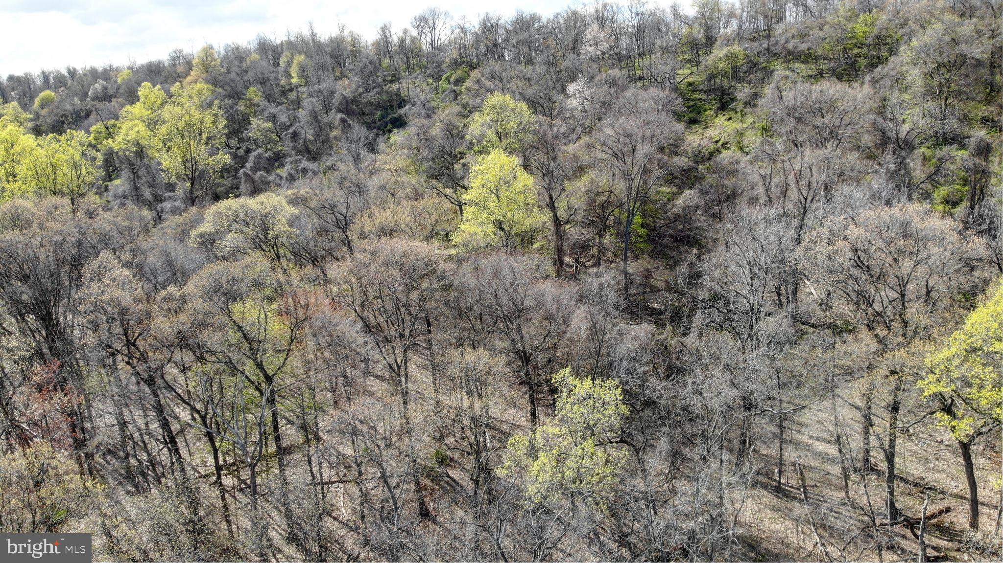 Lot 1 Mountain View Road Harrisburg, PA 17110 - Photo 7 of 17 Gallery Image 7