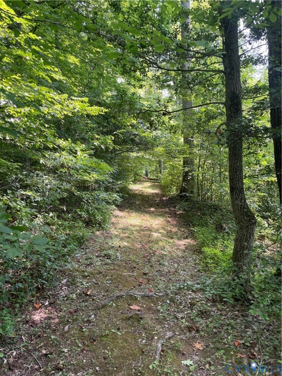 0 Tbd Bumpass, VA 23024 - Photo 7 of 8 Wooded lot featuring a natural path and mature tre