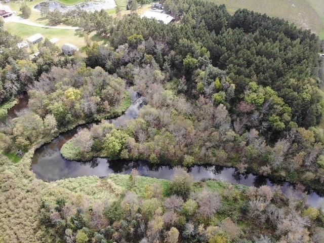 50808 141st Avenue Verndale, MN 56481 - Photo 7 of 145