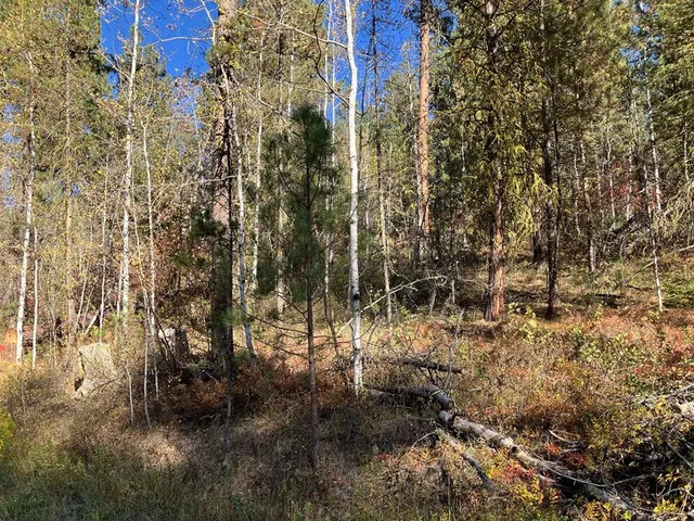 $87,900 | 1484 Alberta Court, Unit 18, Cascade, ID 83611