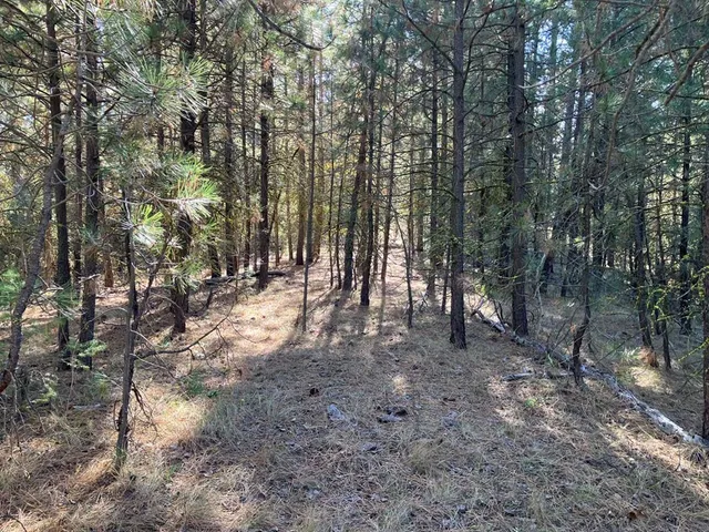 $87,900 | 1484 Alberta Court, Unit 18, Cascade, ID 83611