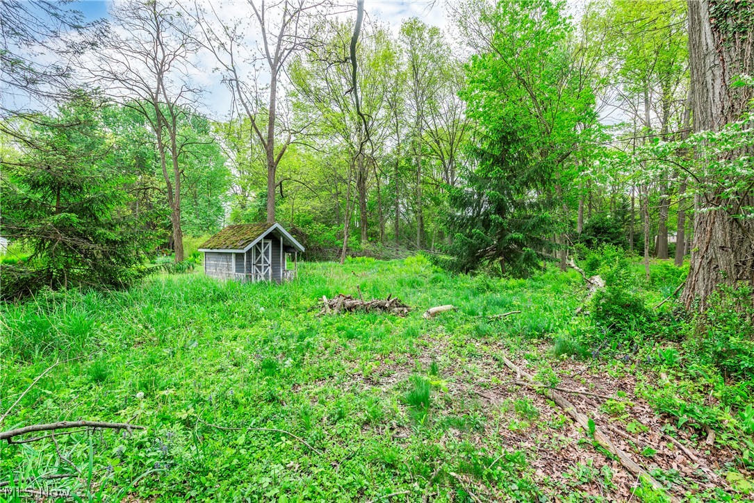 6294 Chestnut Road Independence, OH 44131 - Photo 42 of 42