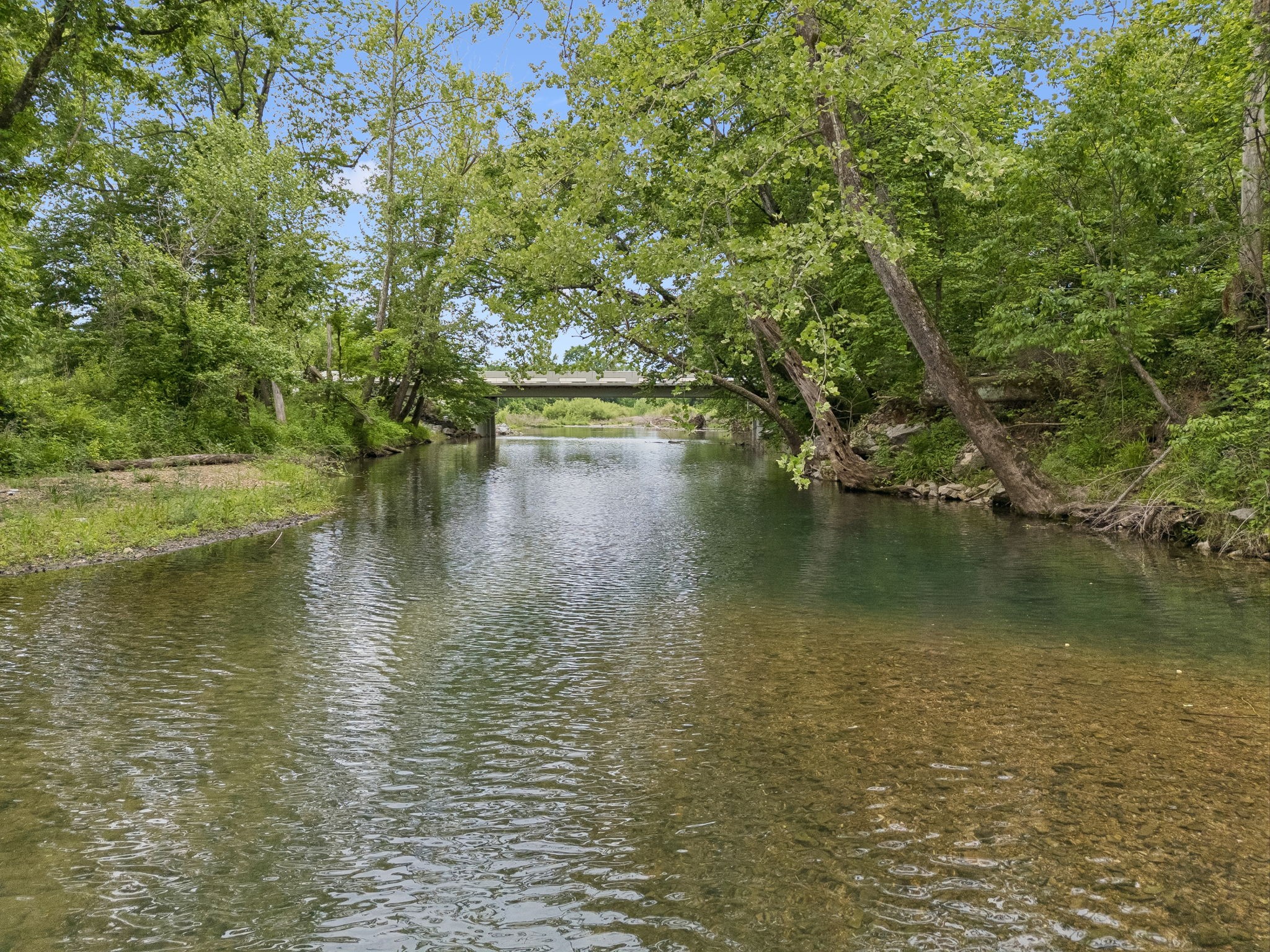 1397 East Blue Creek Road Waverly, TN 37185 - Photo 69 of 93