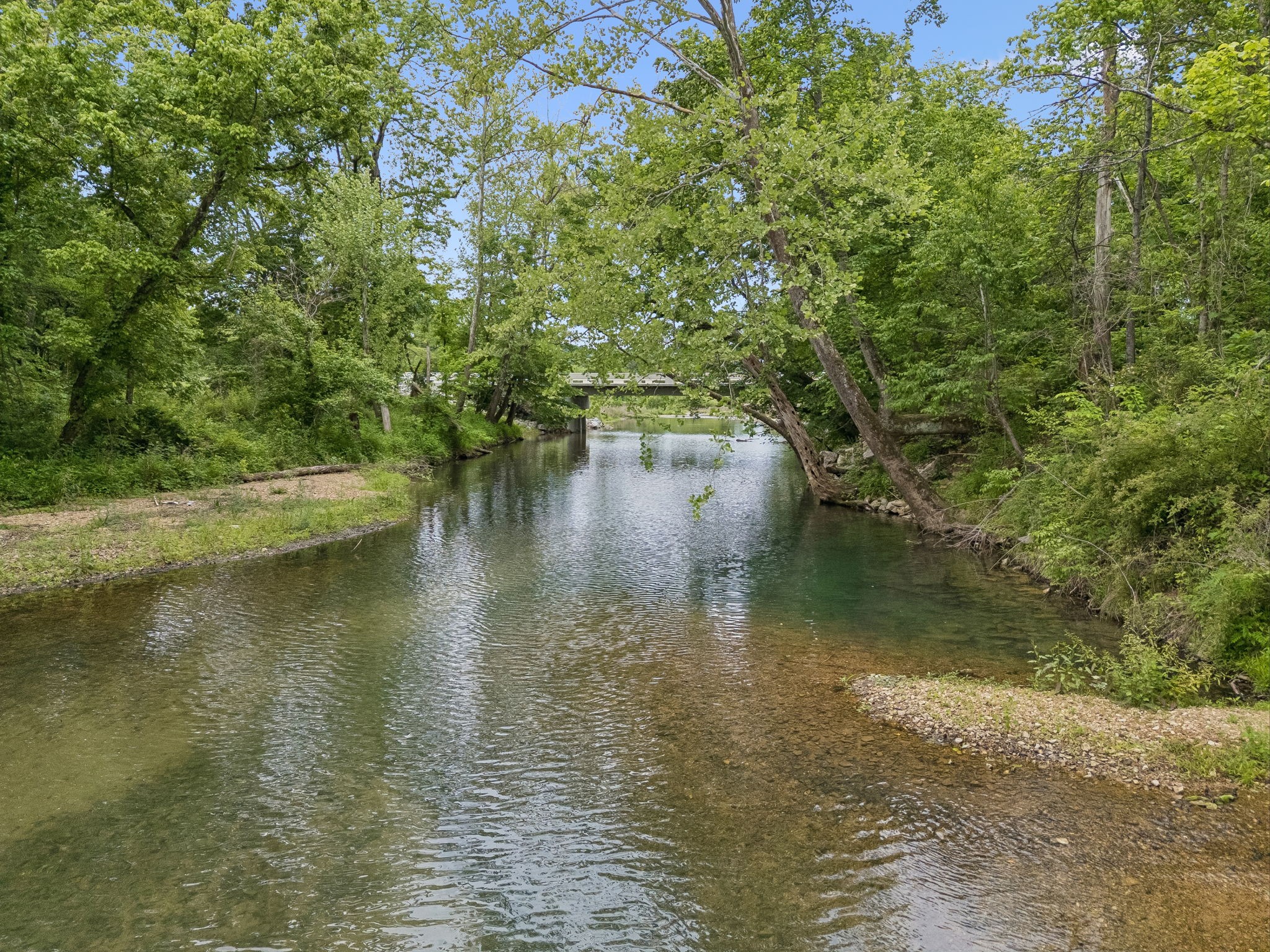 1397 East Blue Creek Road Waverly, TN 37185 - Photo 70 of 93