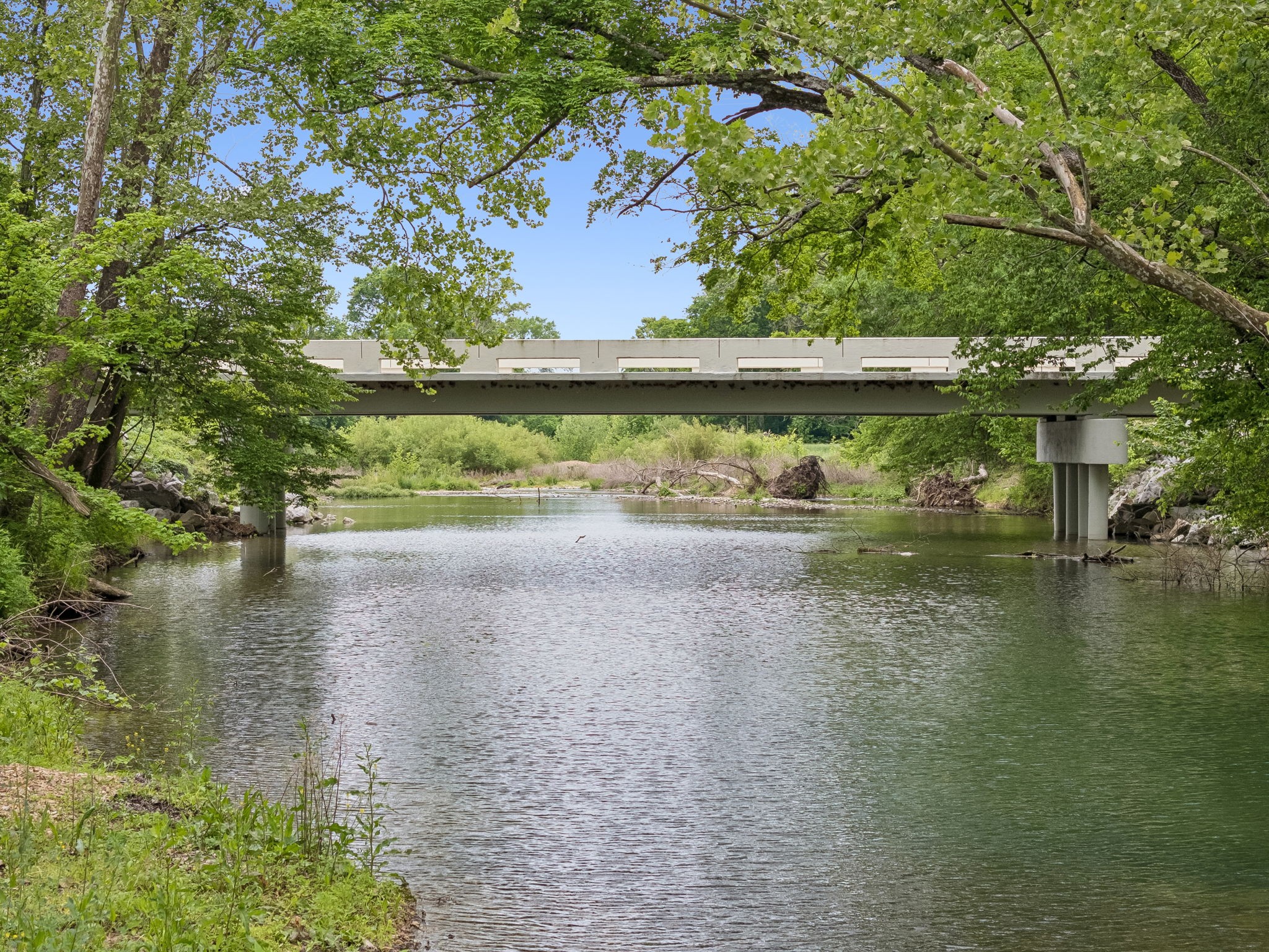 1397 East Blue Creek Road Waverly, TN 37185 - Photo 72 of 93