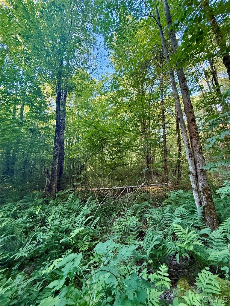 9191 Furman Mills Road Brookfield, NY 13460 - Photo 22 of 30