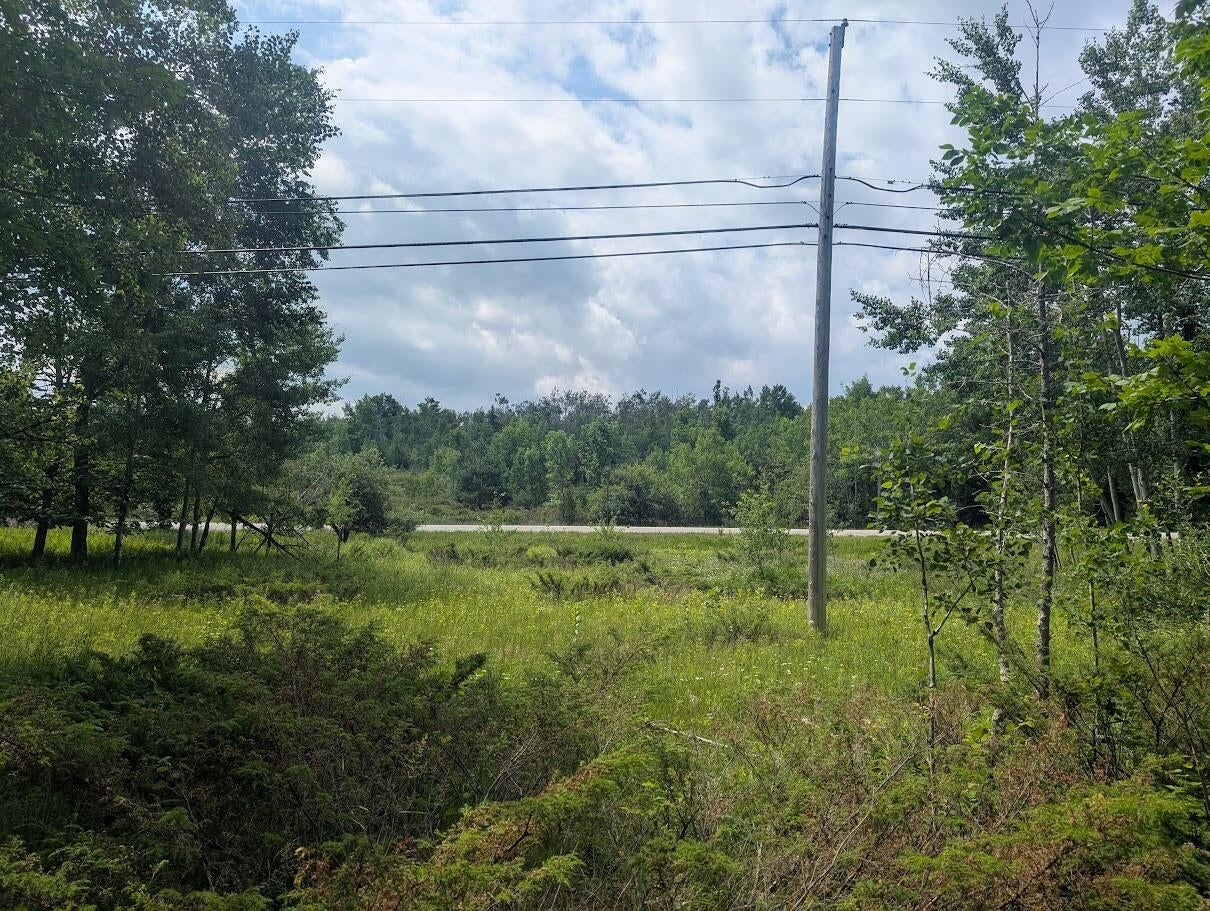 West Long Lake Road Alpena, MI 49707 - Photo 4 of 17 PXL_20250709_155644219