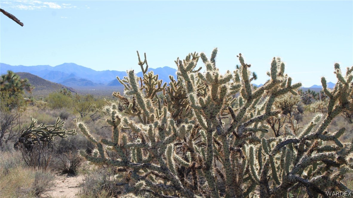 11961 Sherry Road Yucca, AZ 86438 - Photo 5 of 11