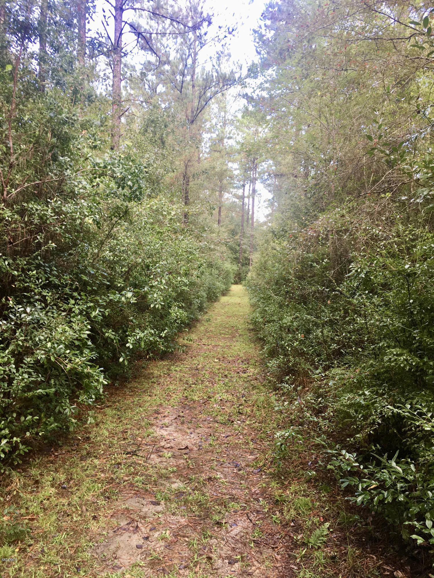 2 A John Willis Road Wiggins, MS 39577 - Photo 24 of 31 fullsizeoutput_1273