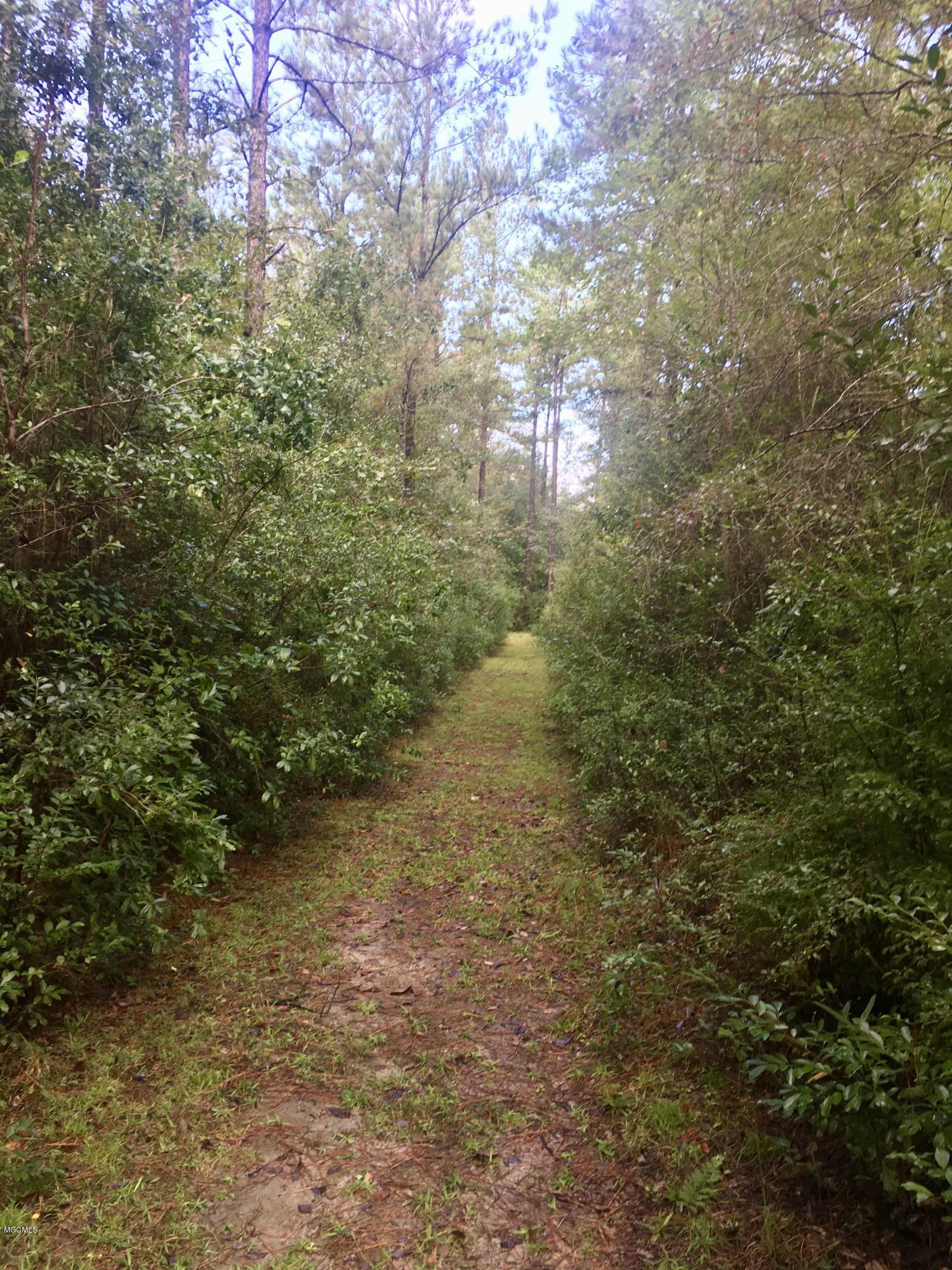 2 A John Willis Road Wiggins, MS 39577 - Photo 25 of 31 fullsizeoutput_1275
