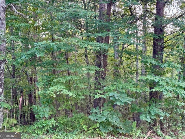 an aerial view of residential house with outdoor space and trees all around