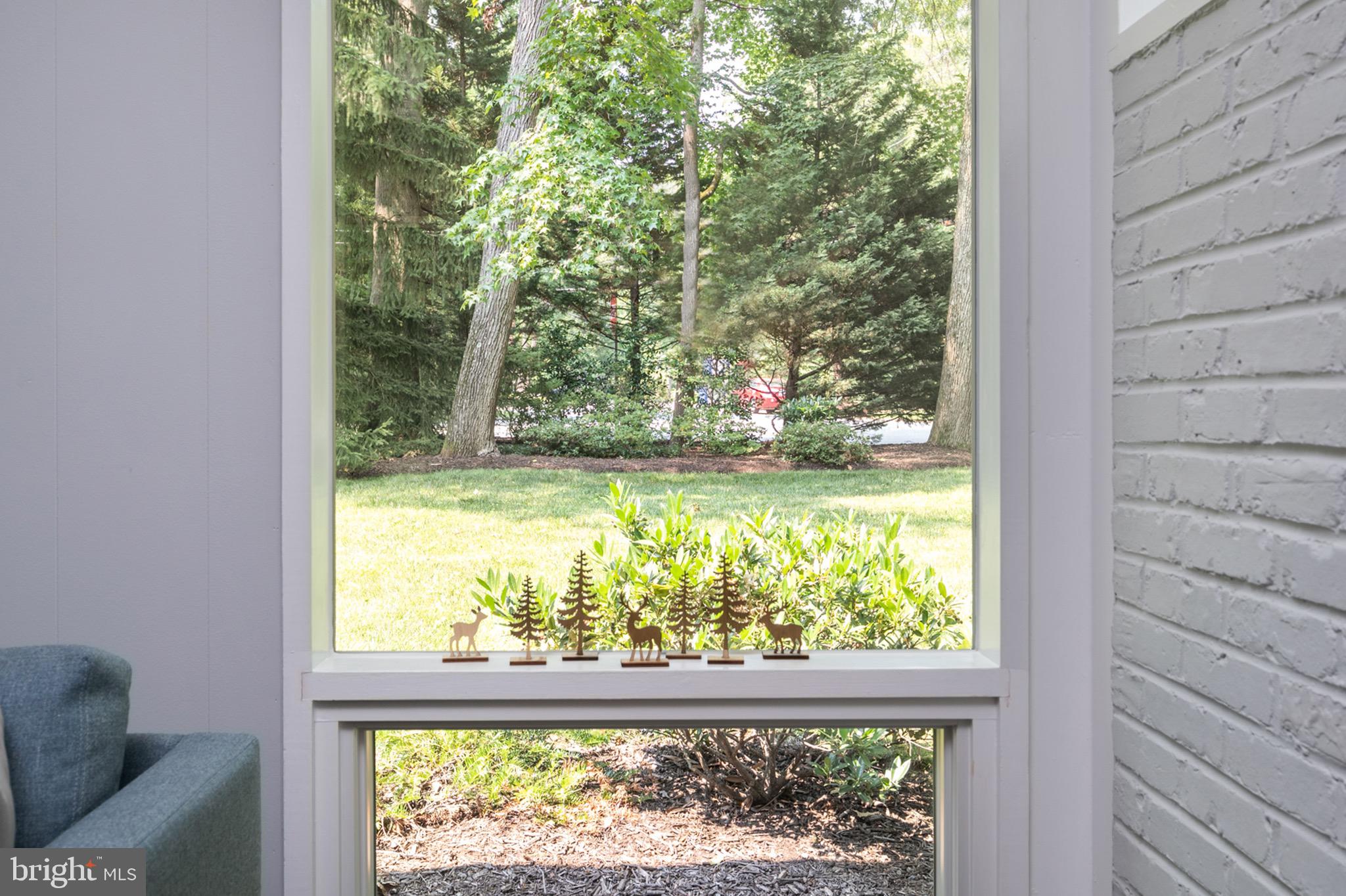 7708 Elba Road Alexandria, VA 22306 - Photo 26 of 50 Mature evergreens in the yard