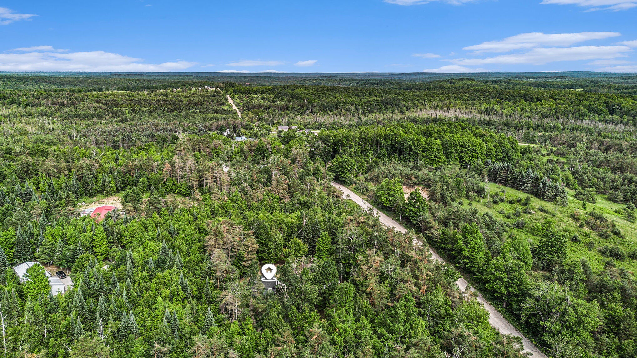 4234 Shook Road Wolverine, MI 49799 - Photo 4 of 23 018_dji_0727_357