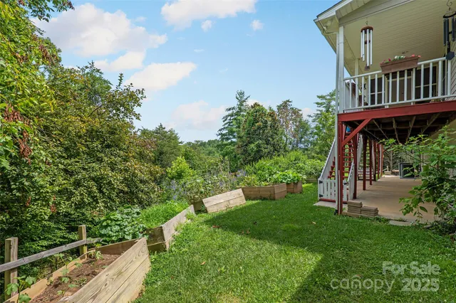 a view of a yard with large trees