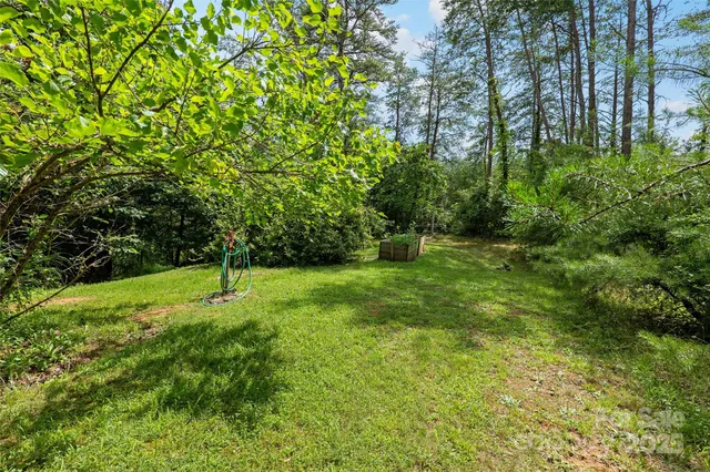 a view of a backyard with couches plants and large tree