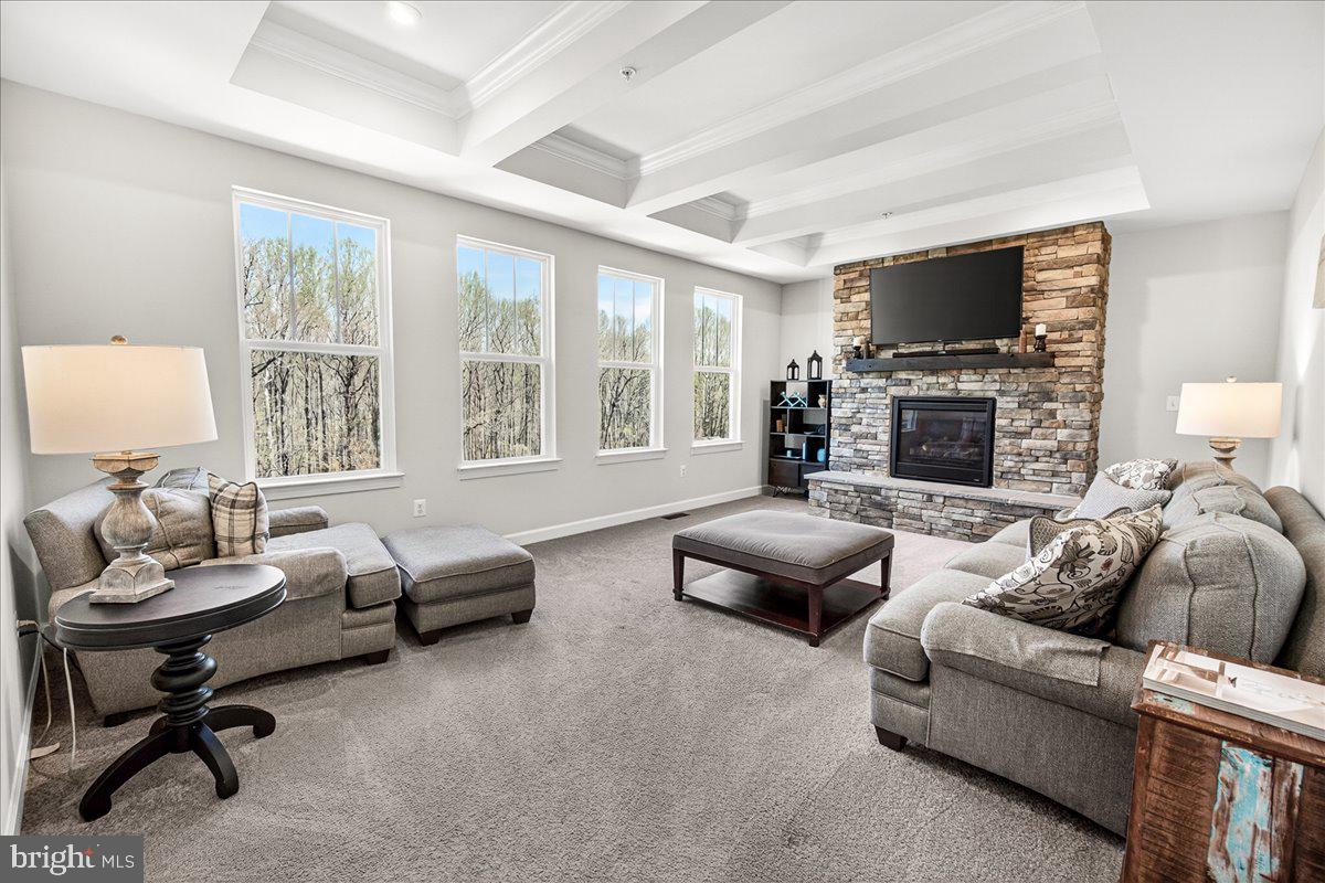 3633 Moline Court Monrovia, MD 21770 - Photo 23 of 82 a living room with furniture fireplace and a flat screen tv