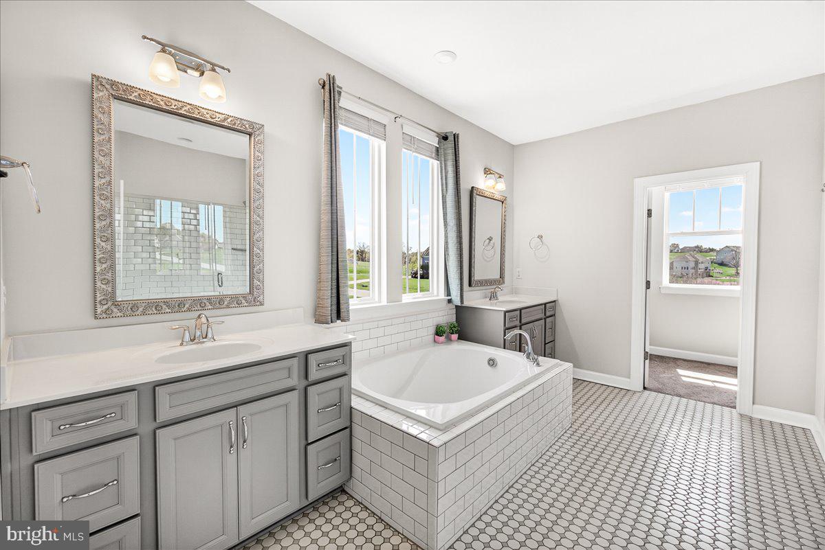3633 Moline Court Monrovia, MD 21770 - Photo 47 of 82 a bathroom with a sink and a bathtub